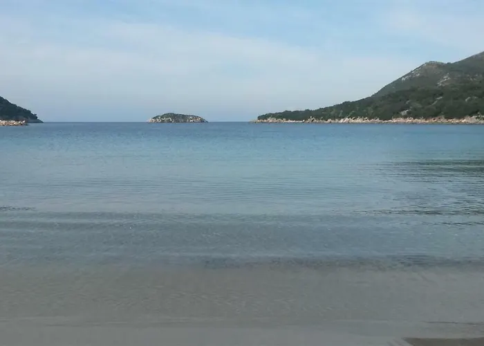 Apartament Reginas *